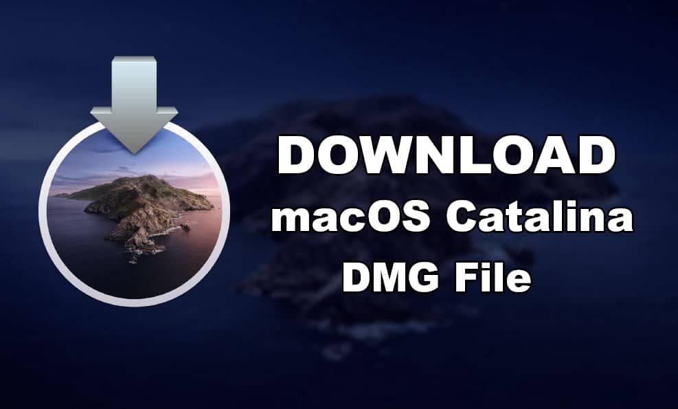 where is macos catalina download stored